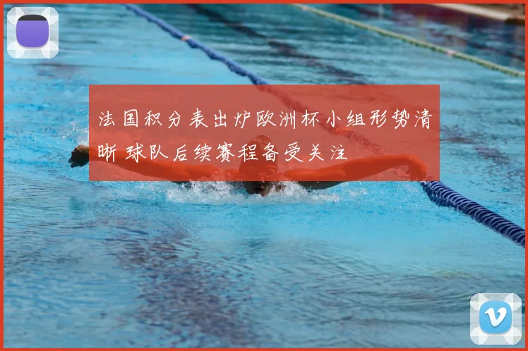 法国积分表出炉欧洲杯小组形势清晰 球队后续赛程备受关注
