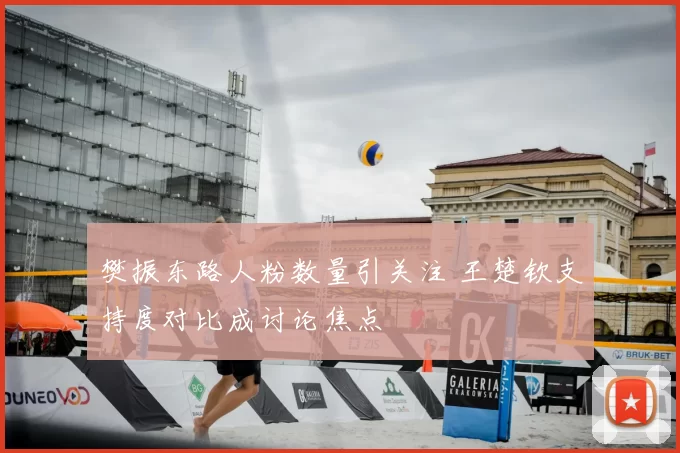樊振东路人粉数量引关注 王楚钦支持度对比成讨论焦点